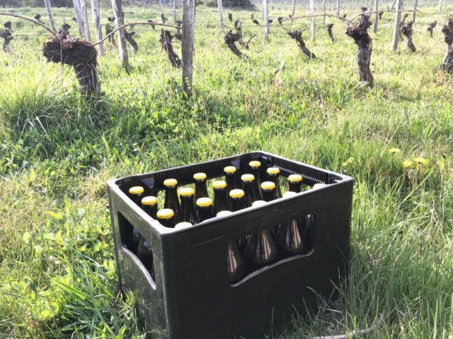 20 Bouteilles 50cl Blonde